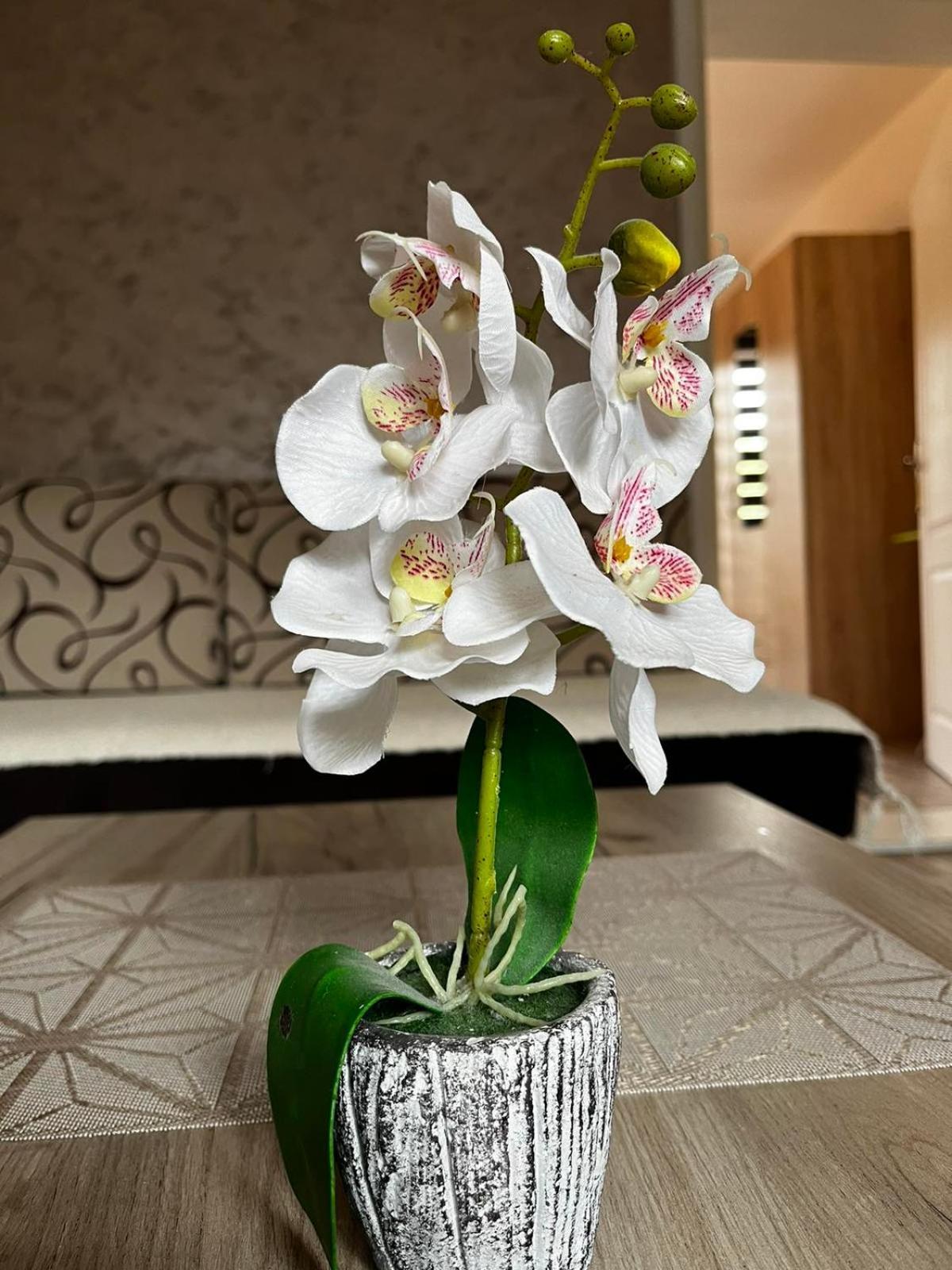 Apartmani Nikolic Višegrad Pokój zdjęcie